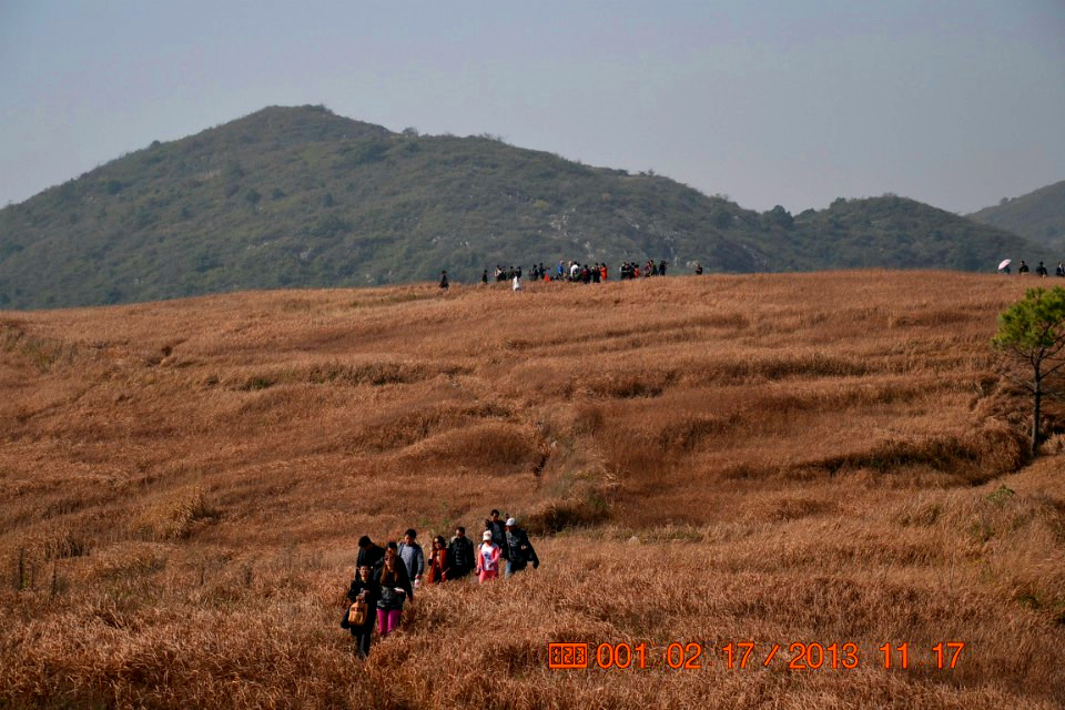 qqͼƬ20131118083701.jpg