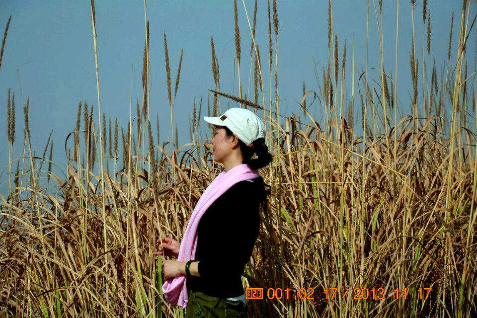 qqͼƬ20131119091629.jpg