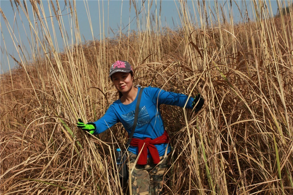 qqͼƬ20131120100907.jpg