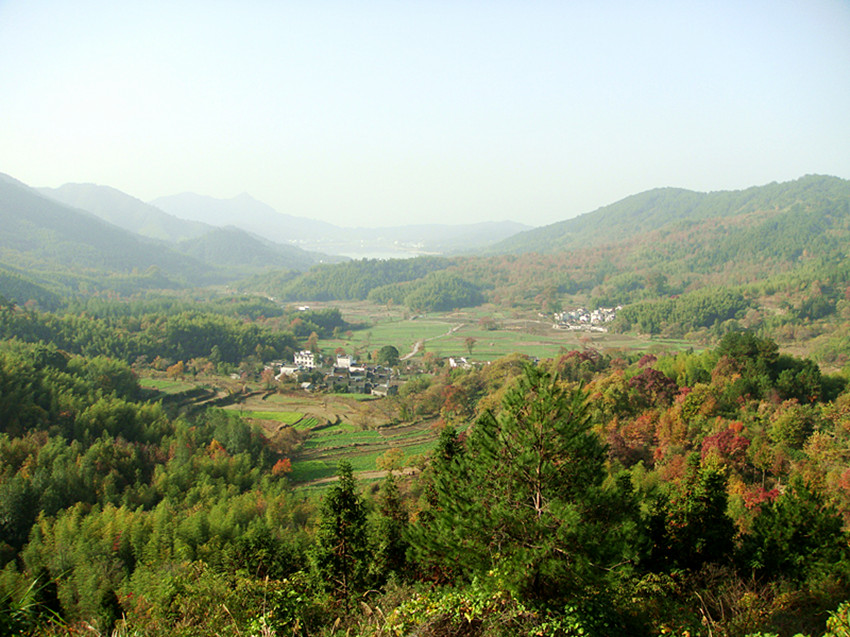 dsc02519_.jpg