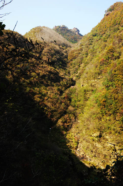 dsc05038.jpg