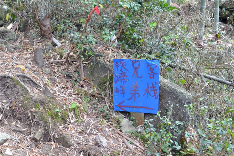 dsc_0983.jpg