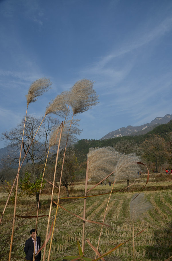 dsc_0161.jpg