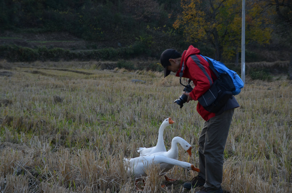 dsc_0382.jpg