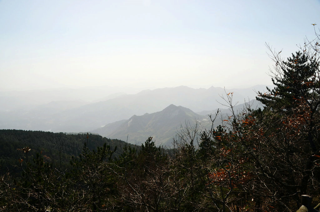 dsc_0779.jpg