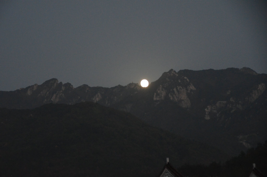 dsc_0436.jpg