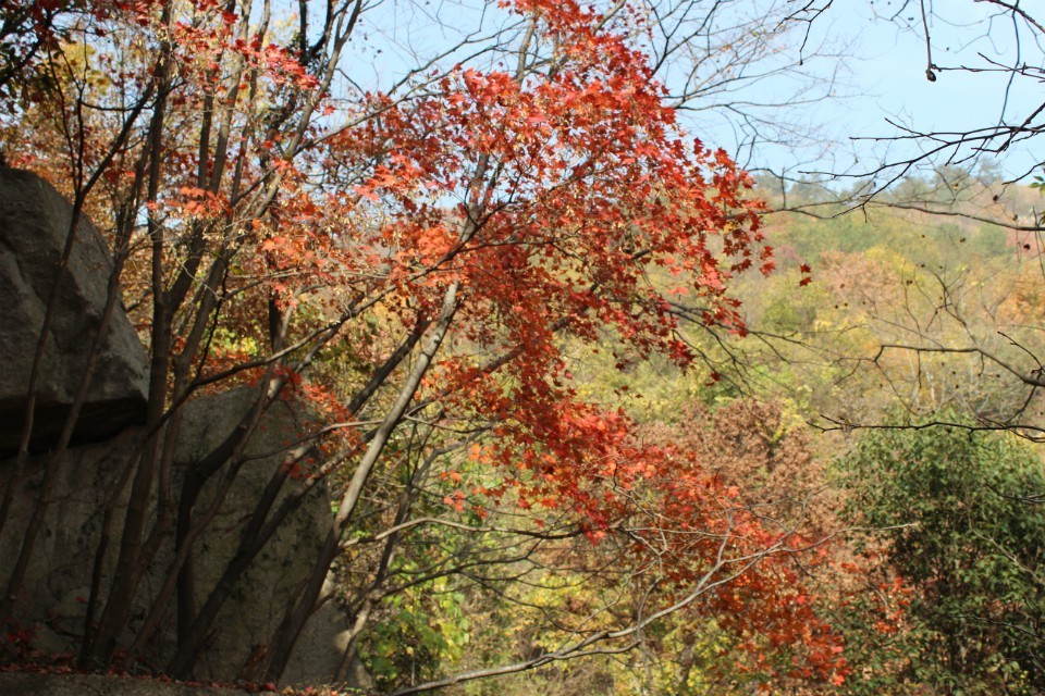 qqͼƬ20131118111009.jpg