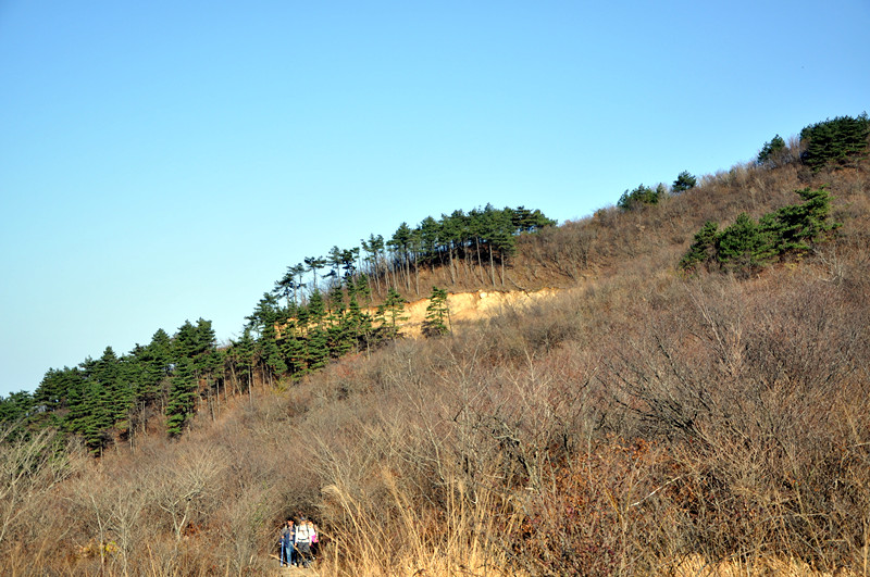 dsc_0366_.jpg
