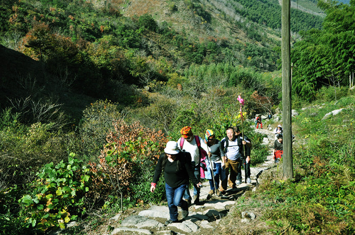 dsc_0231__.jpg