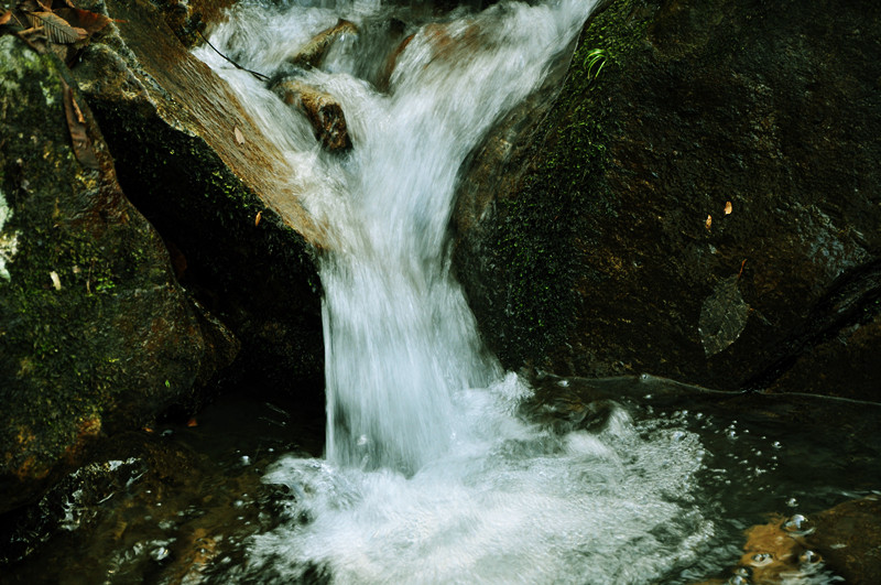 dsc_0338_.jpg