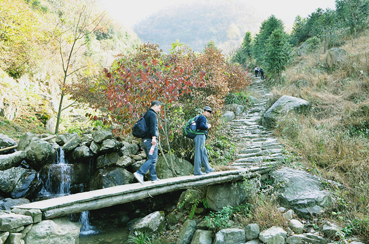dsc_0310__.jpg