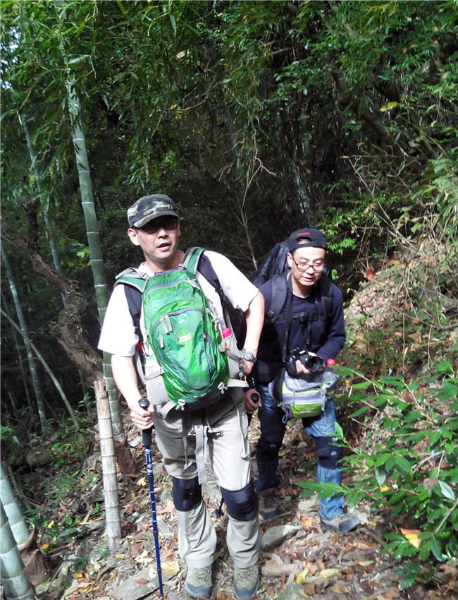 img20131108111701.jpg