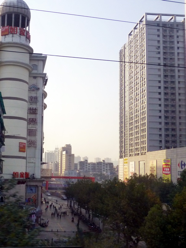 p1140605.jpg
