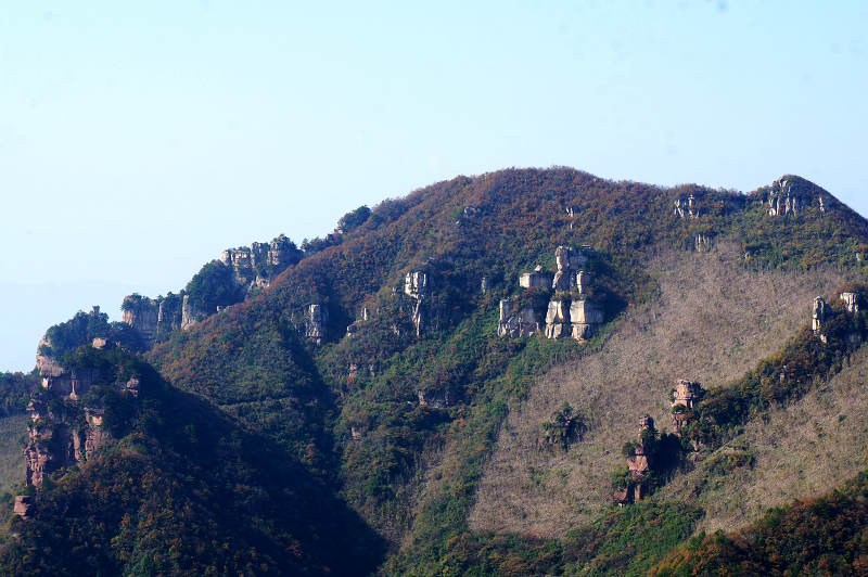 dsc02421.jpg