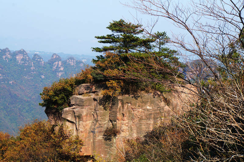 dsc02414.jpg