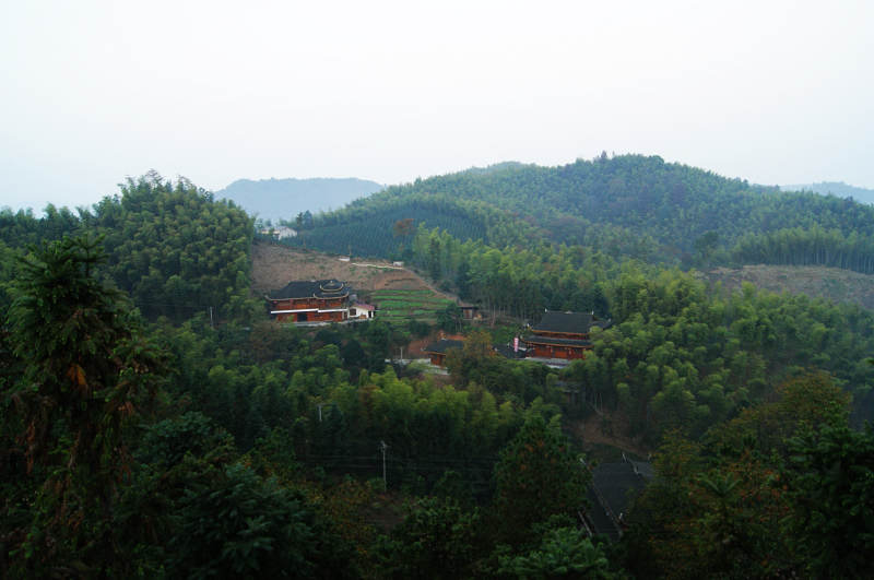 dsc05289.jpg