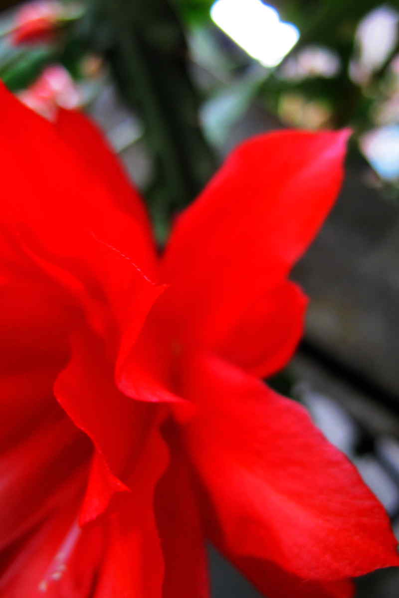 img_9882_.jpg