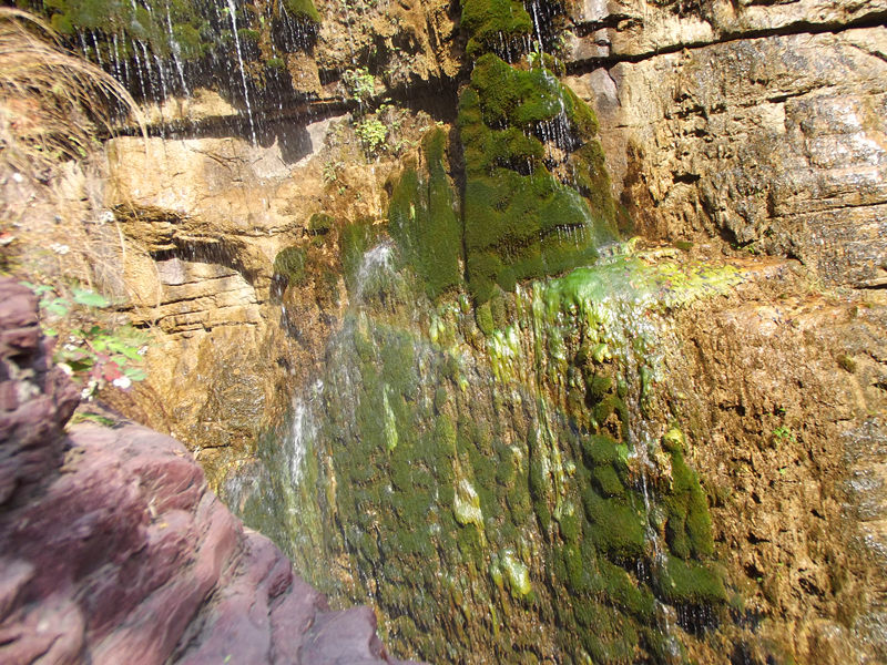 dscf5076_.jpg