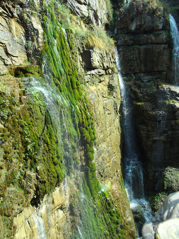 dscf5082_.jpg