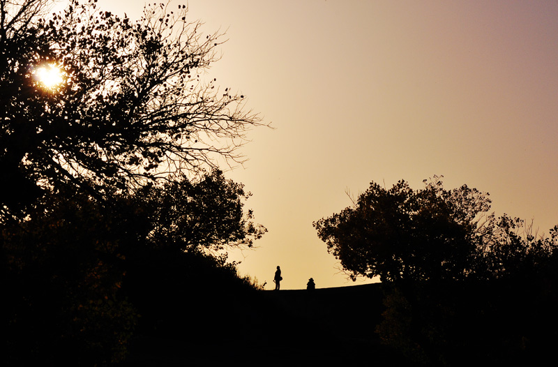 _dsc00009jpg.jpg