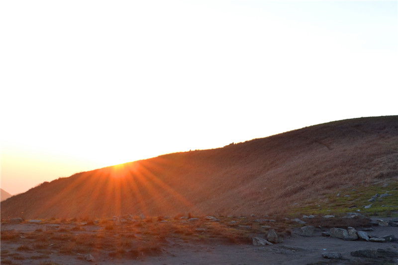 dsc_1206.jpg