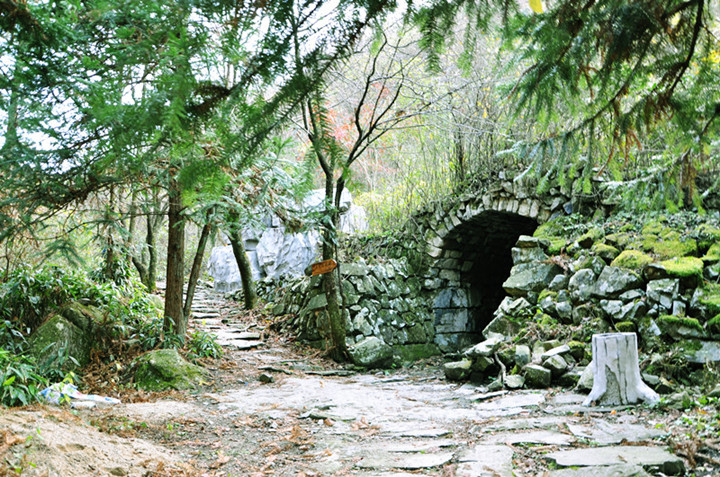 dsc_0331__.jpg
