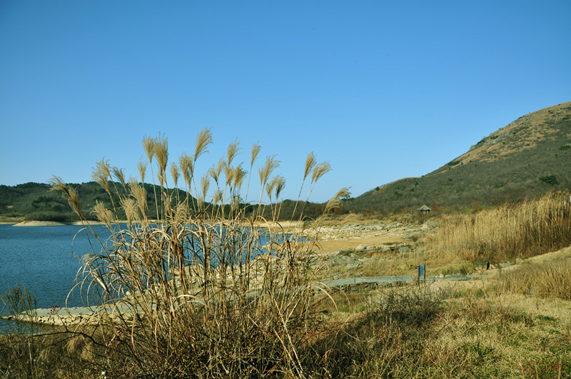 dsc_0415_.jpg