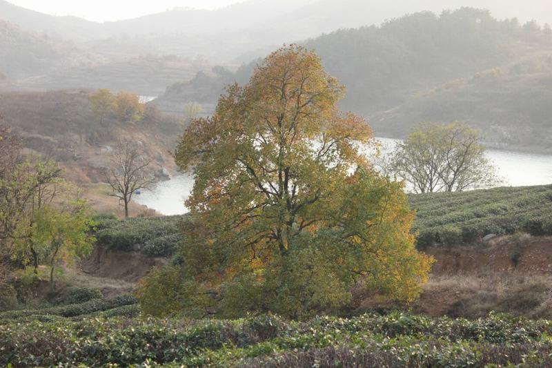 qqͼƬ20131122112538.jpg