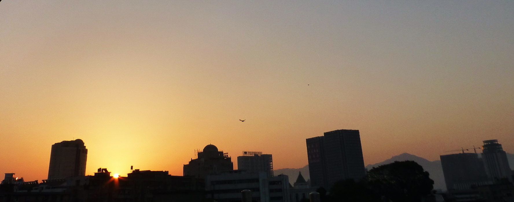 p1140661.jpg
