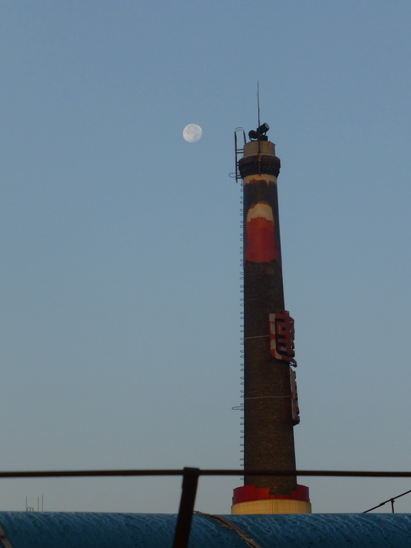 p1140664.jpg