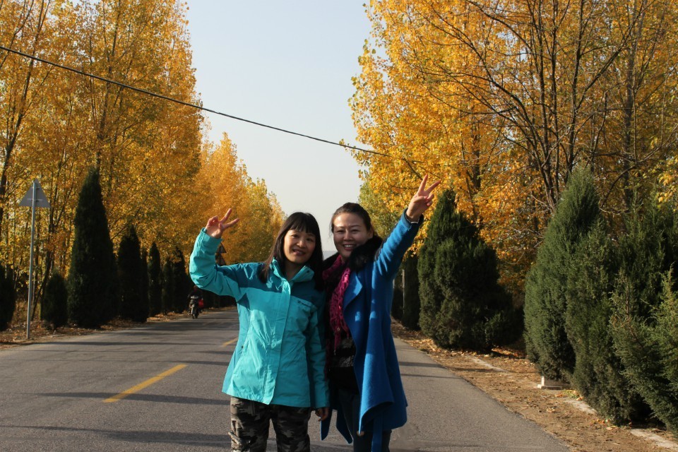 qqͼƬ20131118120911.jpg