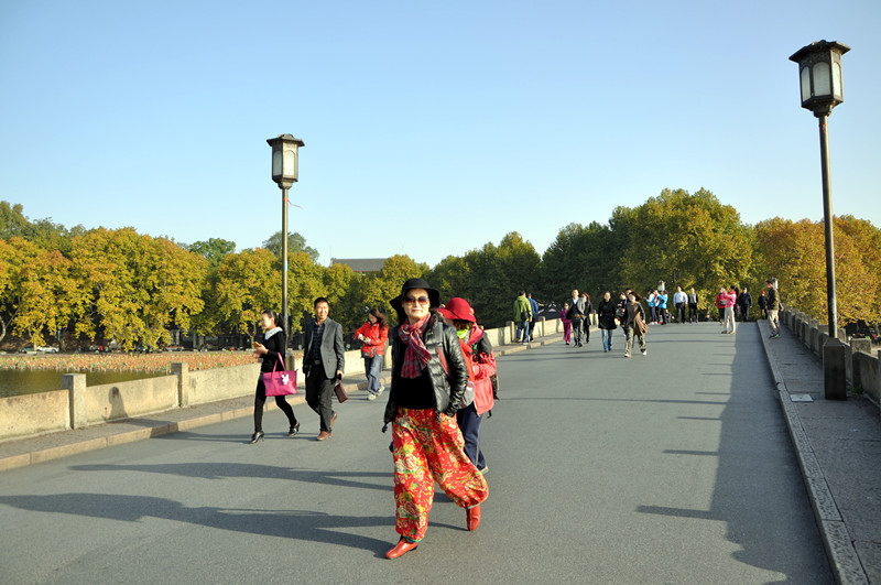 dsc_0431_.jpg