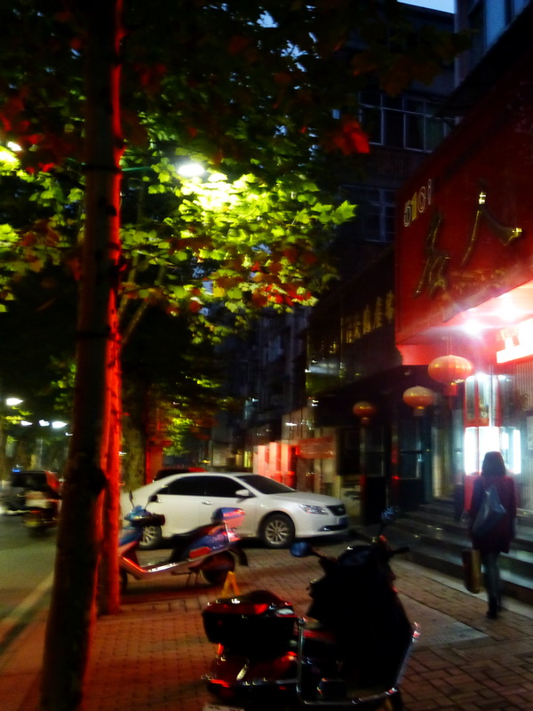 p1140686.jpg