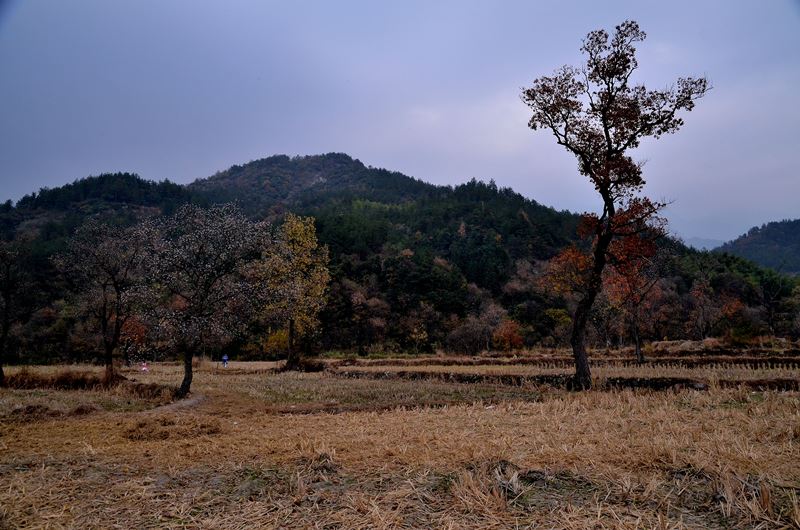 dsc_7143.jpg