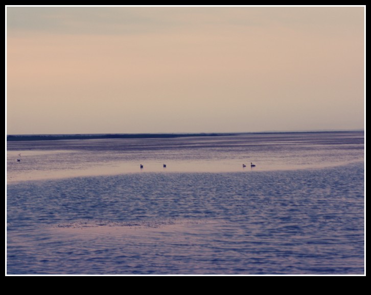 dsc00004_conew1.jpg