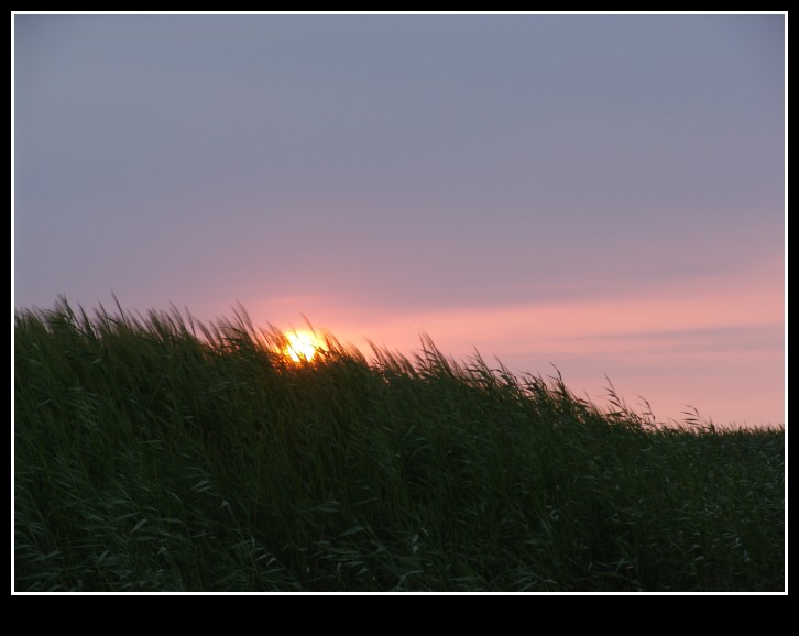 dsc00007_conew1.jpg