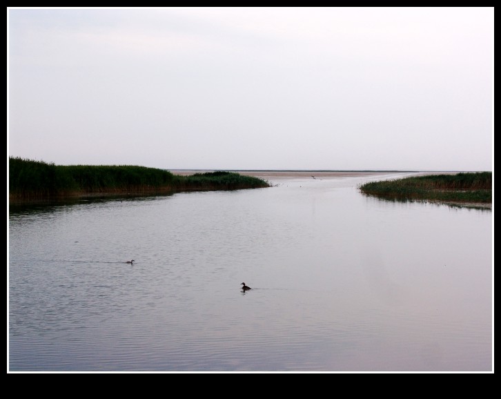 dsc00050_conew1.jpg