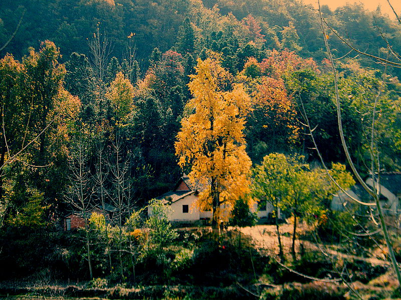 dscf0021__.jpg