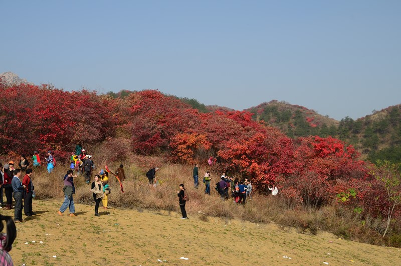 dsc_7407.jpg