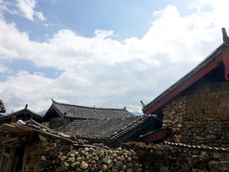 p1140100.jpg