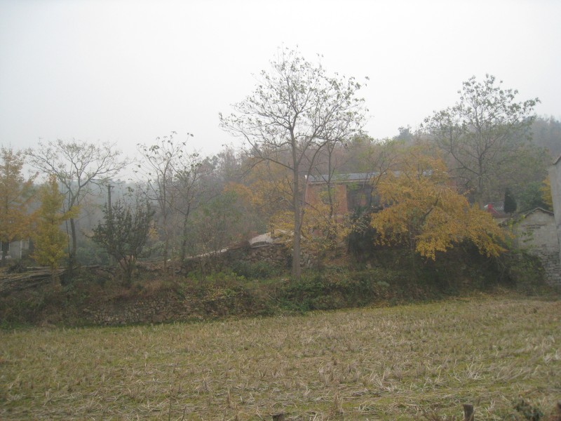 conew_img_4337.jpg