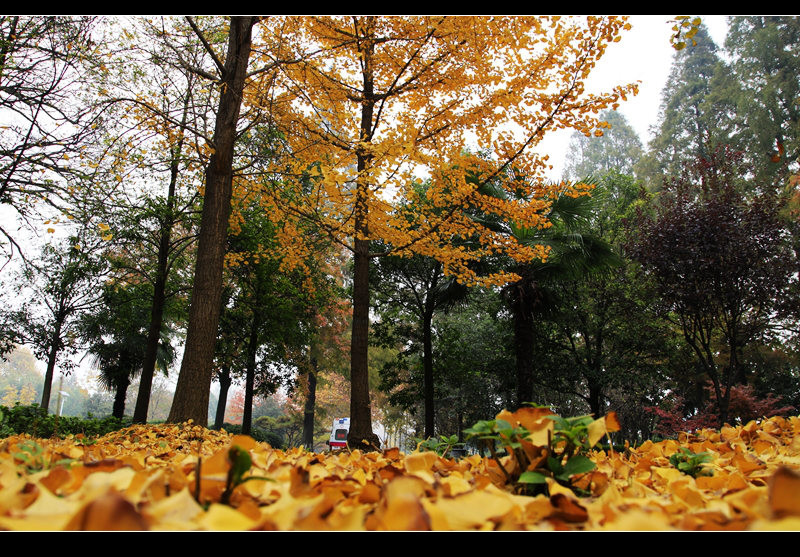 _mg_7700.jpg