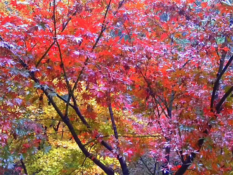 img_20131124_100612.jpg