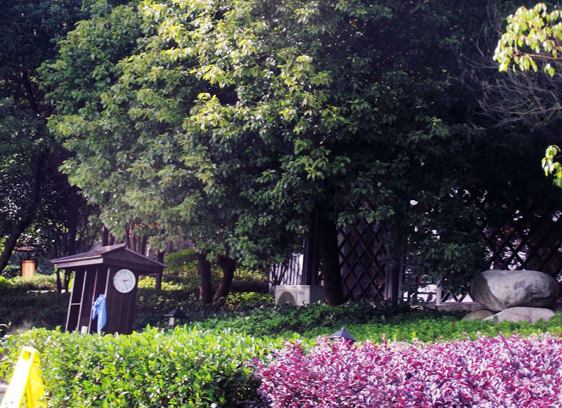 dscf0083.jpg