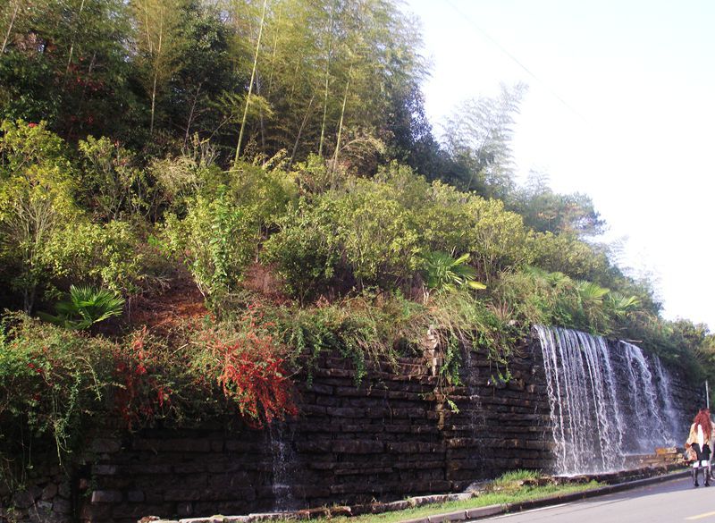 dscf0130.jpg
