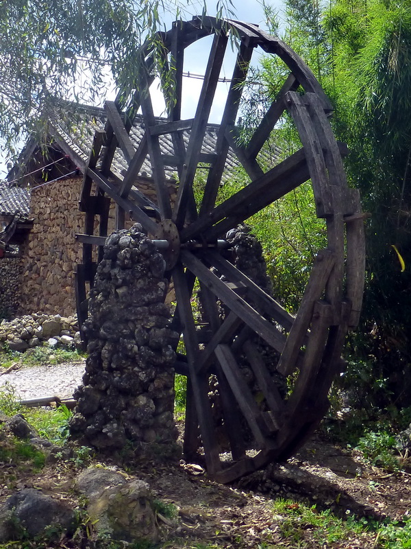 p1140124.jpg