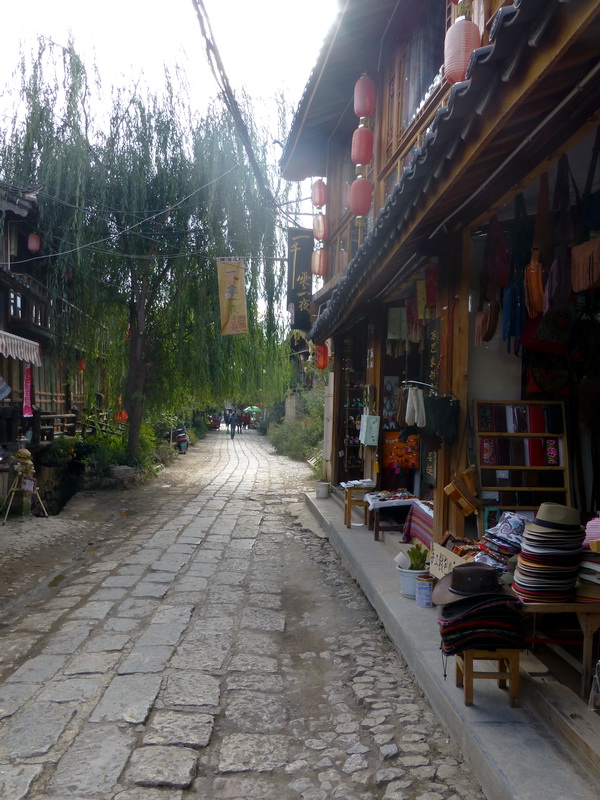 p1140156.jpg