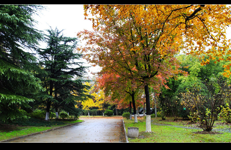 _mg_7838.jpg