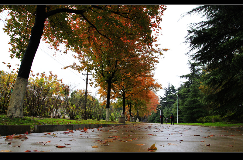_mg_7860.jpg