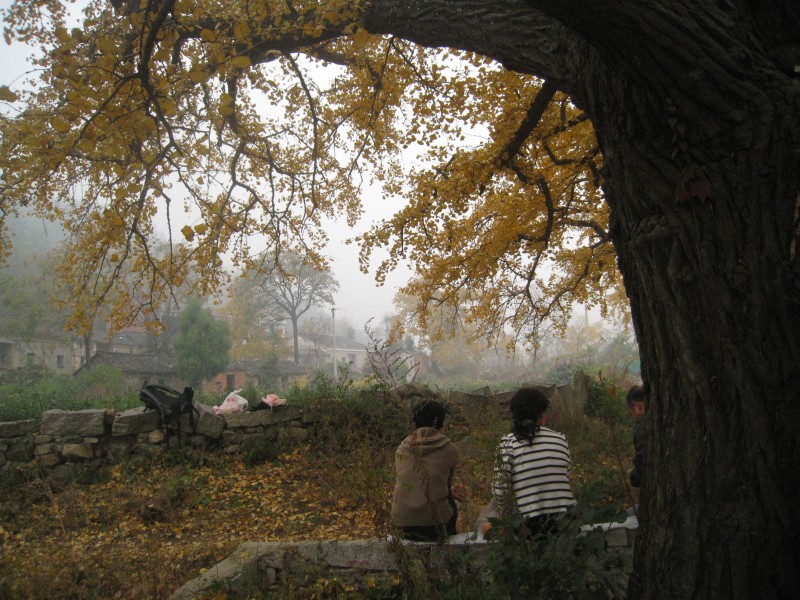 conew_img_4457.jpg